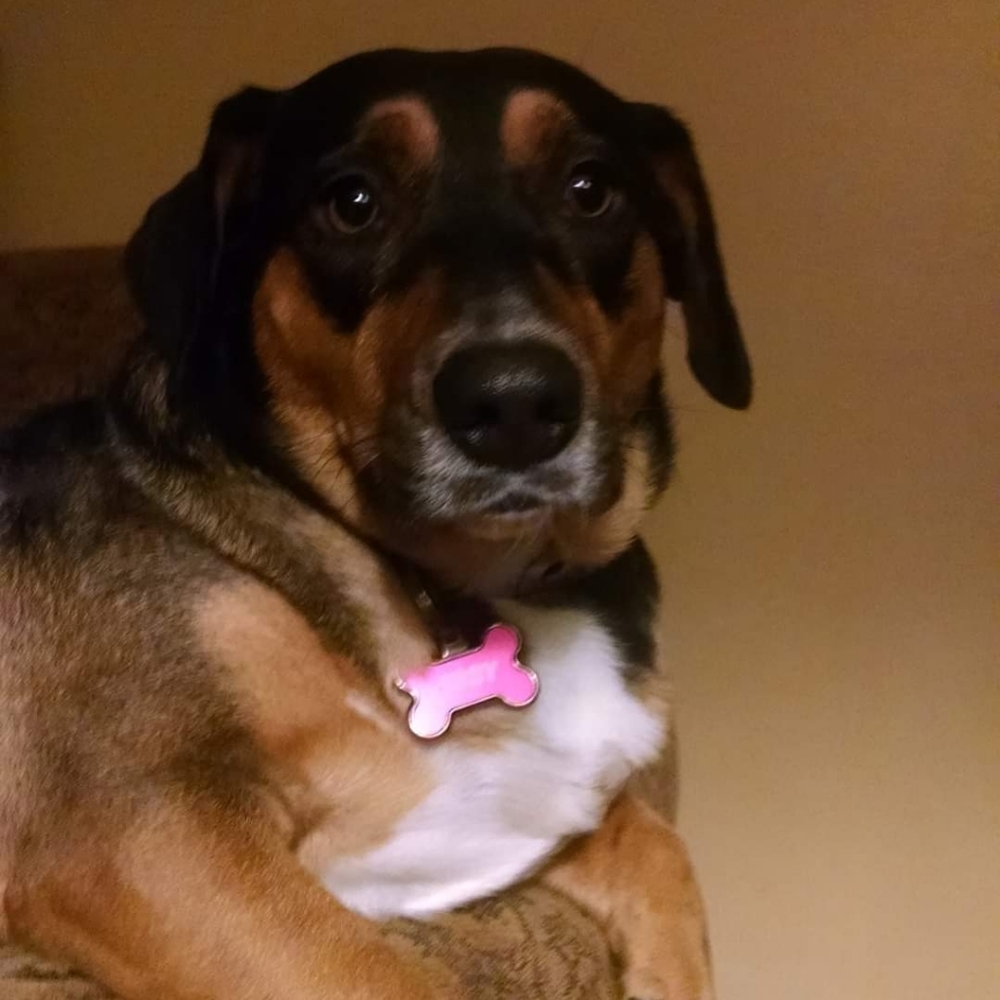 Meet your Posher, Maria